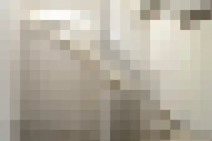 Zwanenbloem 25 Elst thumbnail 32