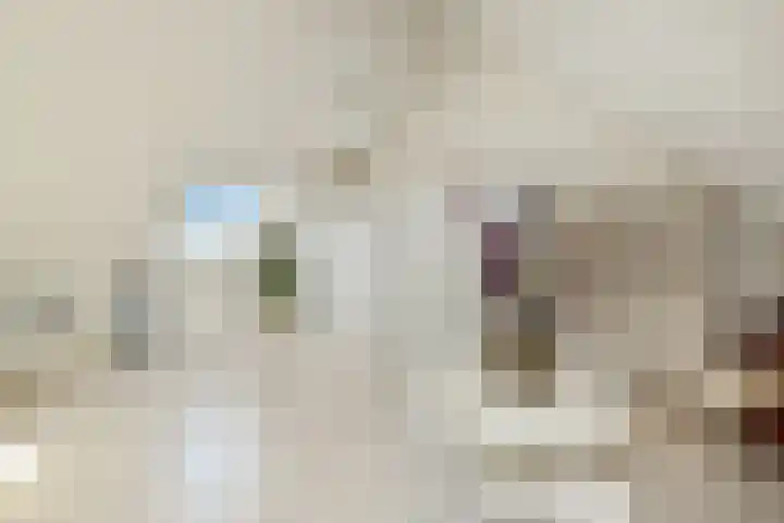 Zwanenbloem 25 Elst thumbnail 34