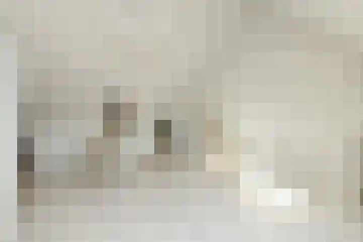 Zwanenbloem 25 Elst thumbnail 37