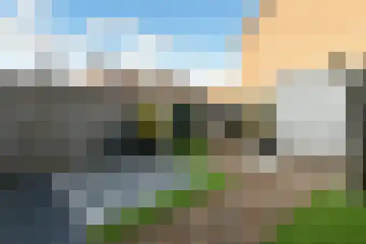 Zwanenbloem 25 Elst thumbnail 40