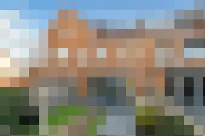 Zwanenbloem 25 Elst thumbnail 43