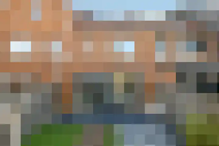 Zwanenbloem 25 Elst thumbnail 44