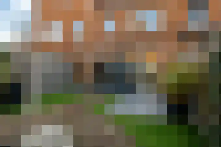 Zwanenbloem 25 Elst thumbnail 45