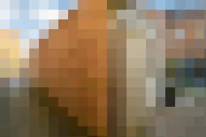Zwanenbloem 25 Elst thumbnail 47