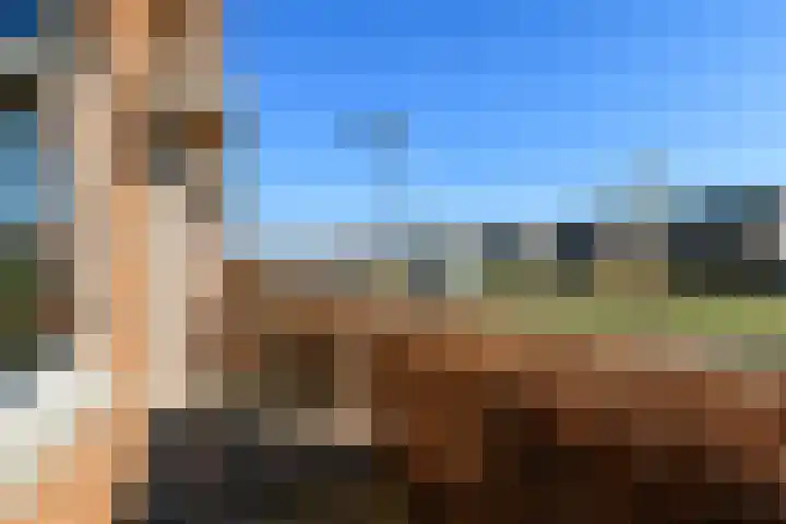 Zwanenbloem 25 Elst thumbnail 48