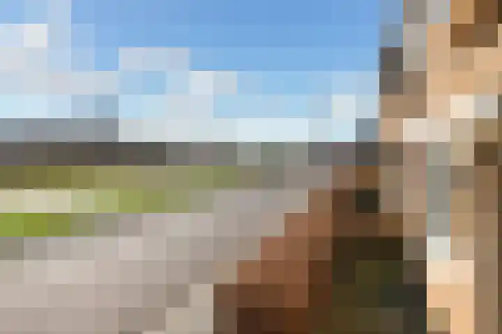 Zwanenbloem 25 Elst thumbnail 49