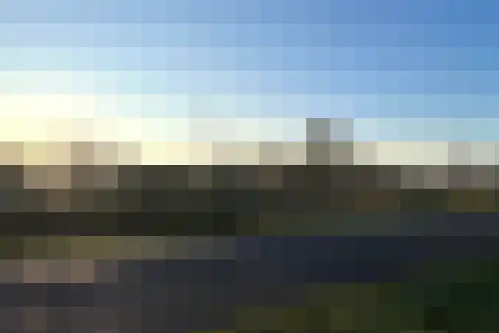 Zwanenbloem 25 Elst thumbnail 50