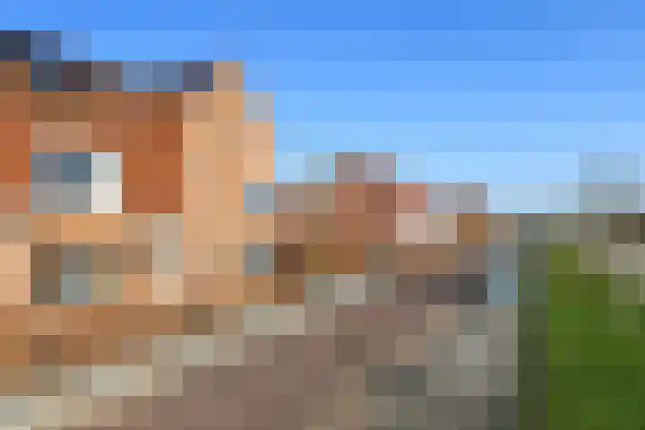 Zwanenbloem 25 Elst thumbnail 51