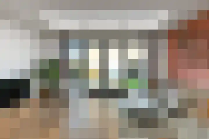 Zwanenbloem 25 Elst thumbnail 9