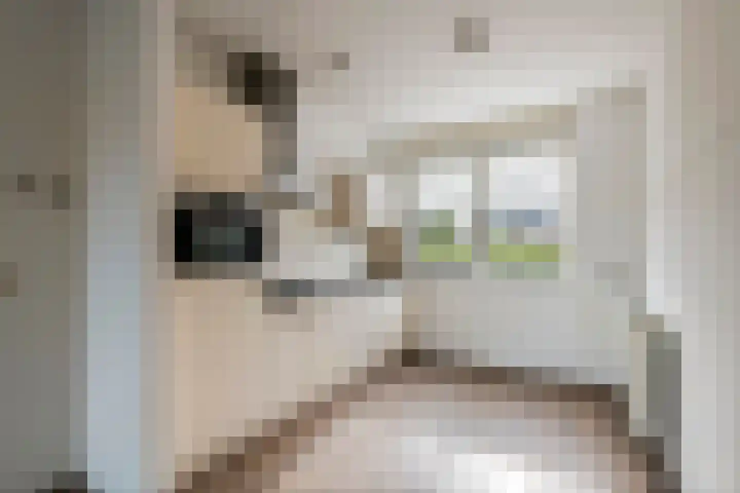 Zwanenbloem 35 Elst thumbnail 5