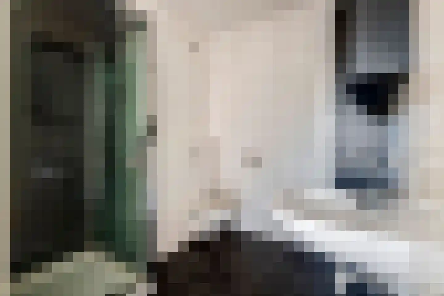 Zwanenbloem 35 Elst thumbnail 7