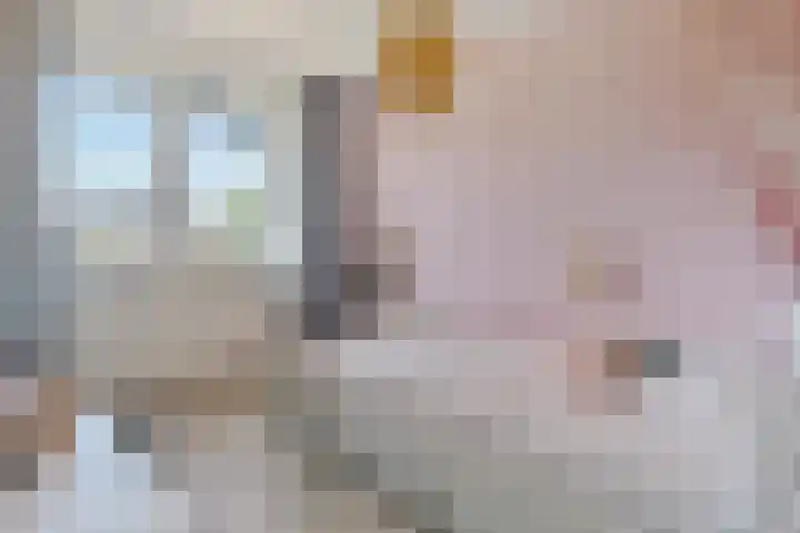 Zwanenbloem 45 Elst thumbnail 29