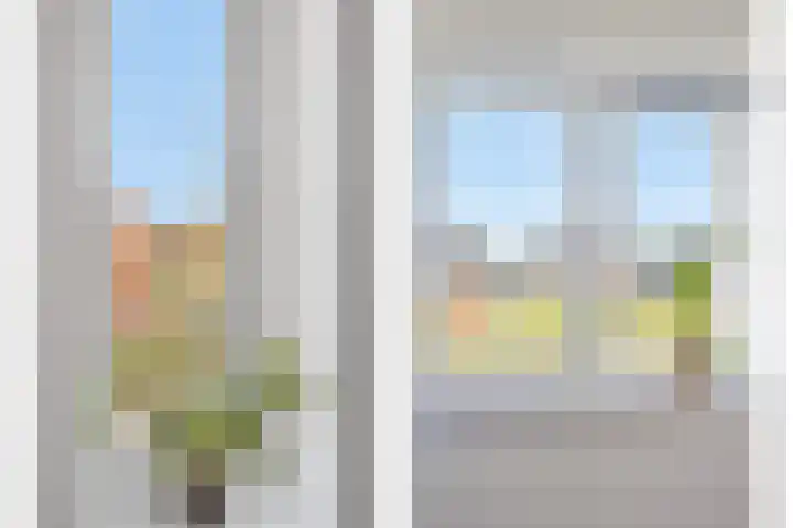 Zwanenbloem 45 Elst thumbnail 30