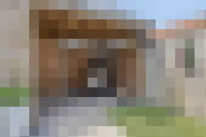 Zwanenbloem 45 Elst thumbnail 36