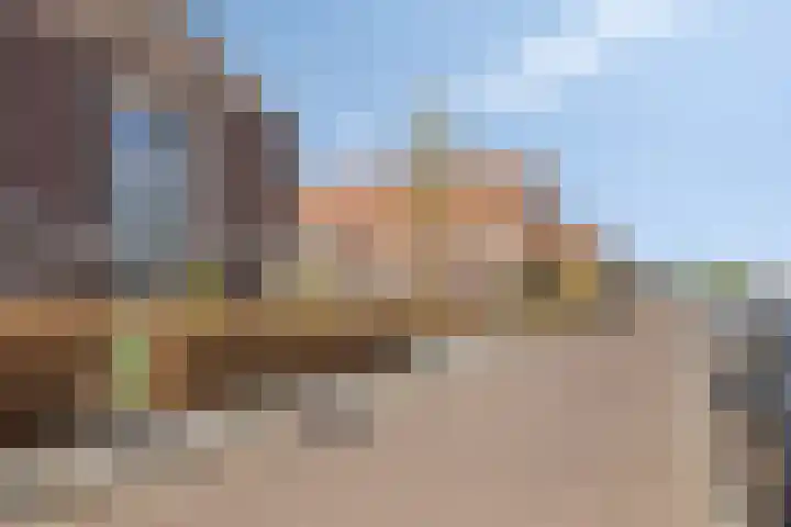 Zwanenbloem 45 Elst thumbnail 7