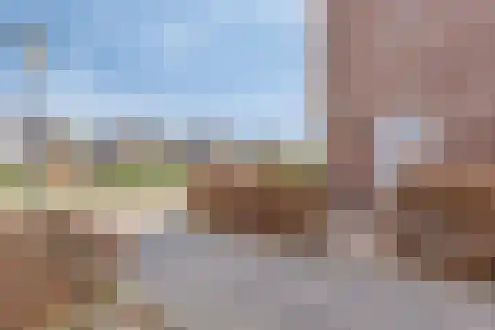 Zwanenbloem 45 Elst thumbnail 8