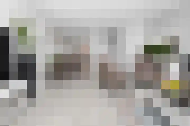 Zwanenbloem 5 Brummen thumbnail 10