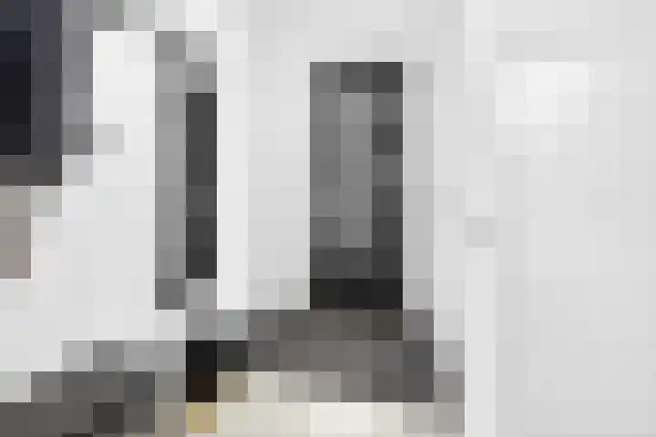Zwanenbloem 5 Brummen thumbnail 11