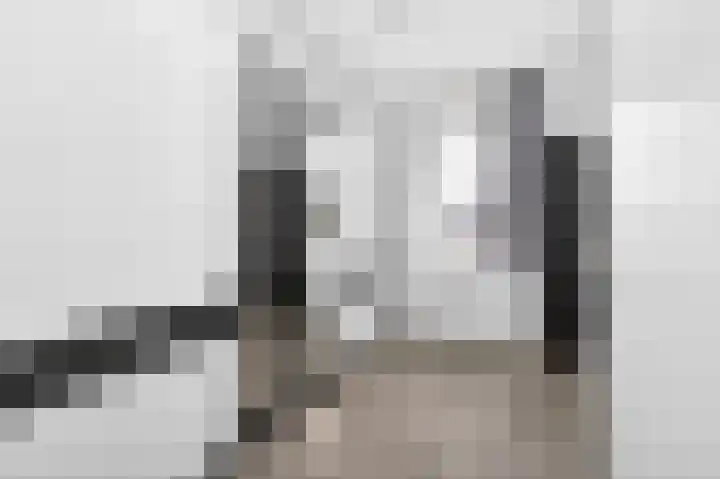 Zwanenbloem 5 Brummen thumbnail 13