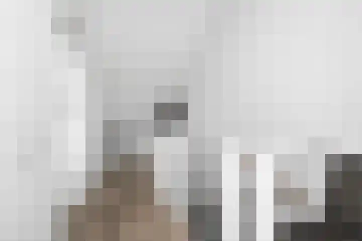 Zwanenbloem 5 Brummen thumbnail 20