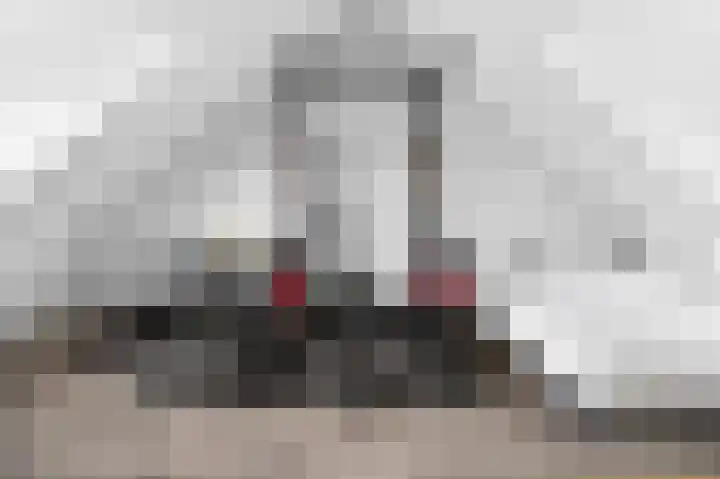 Zwanenbloem 5 Brummen thumbnail 21