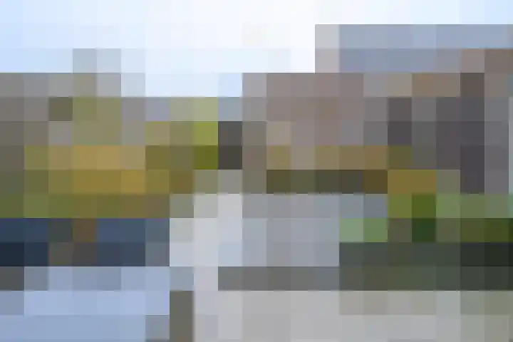 Zwanenbloem 5 Brummen thumbnail 24