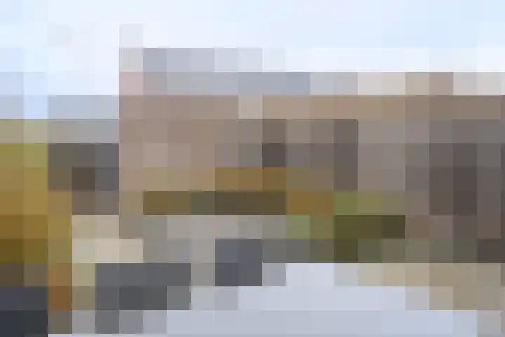Zwanenbloem 5 Brummen thumbnail 25