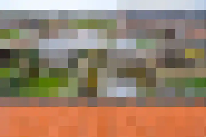 Zwanenbloem 5 Brummen thumbnail 27
