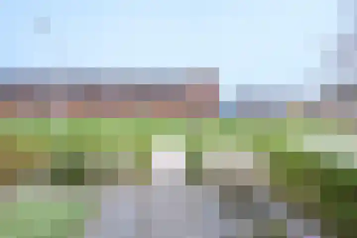 Zwanenbloem 5 Brummen thumbnail 28