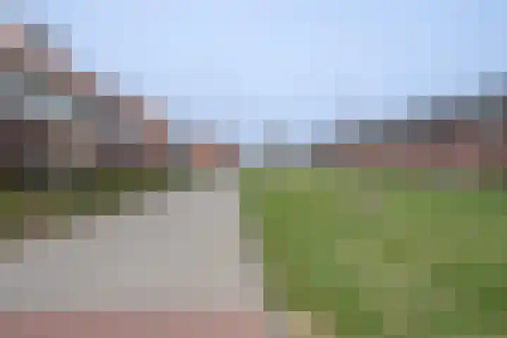 Zwanenbloem 5 Brummen thumbnail 31