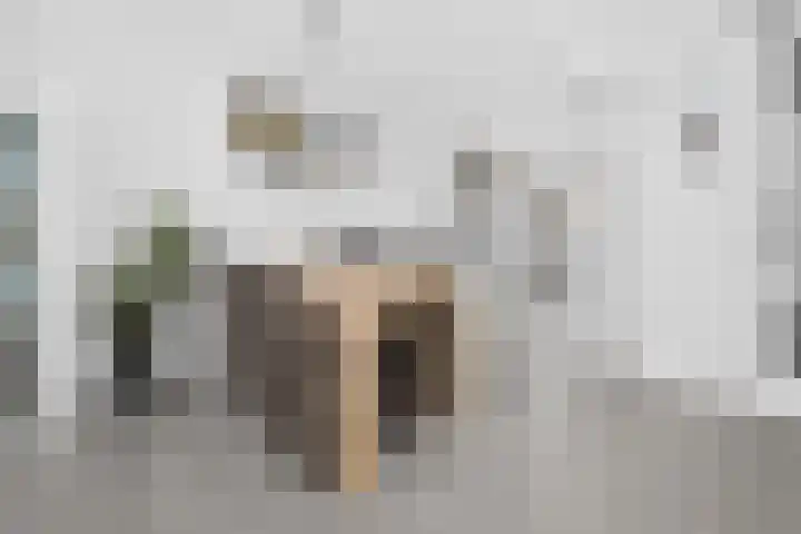 Zwanenbloem 5 Brummen thumbnail 7