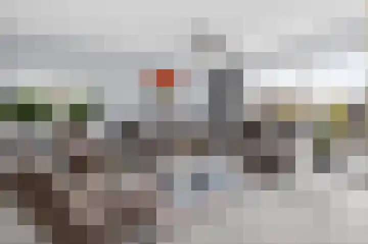 Zwanenbloem 5 Brummen thumbnail 8