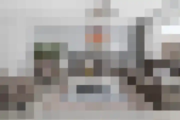 Zwanenbloem 5 Brummen thumbnail 9