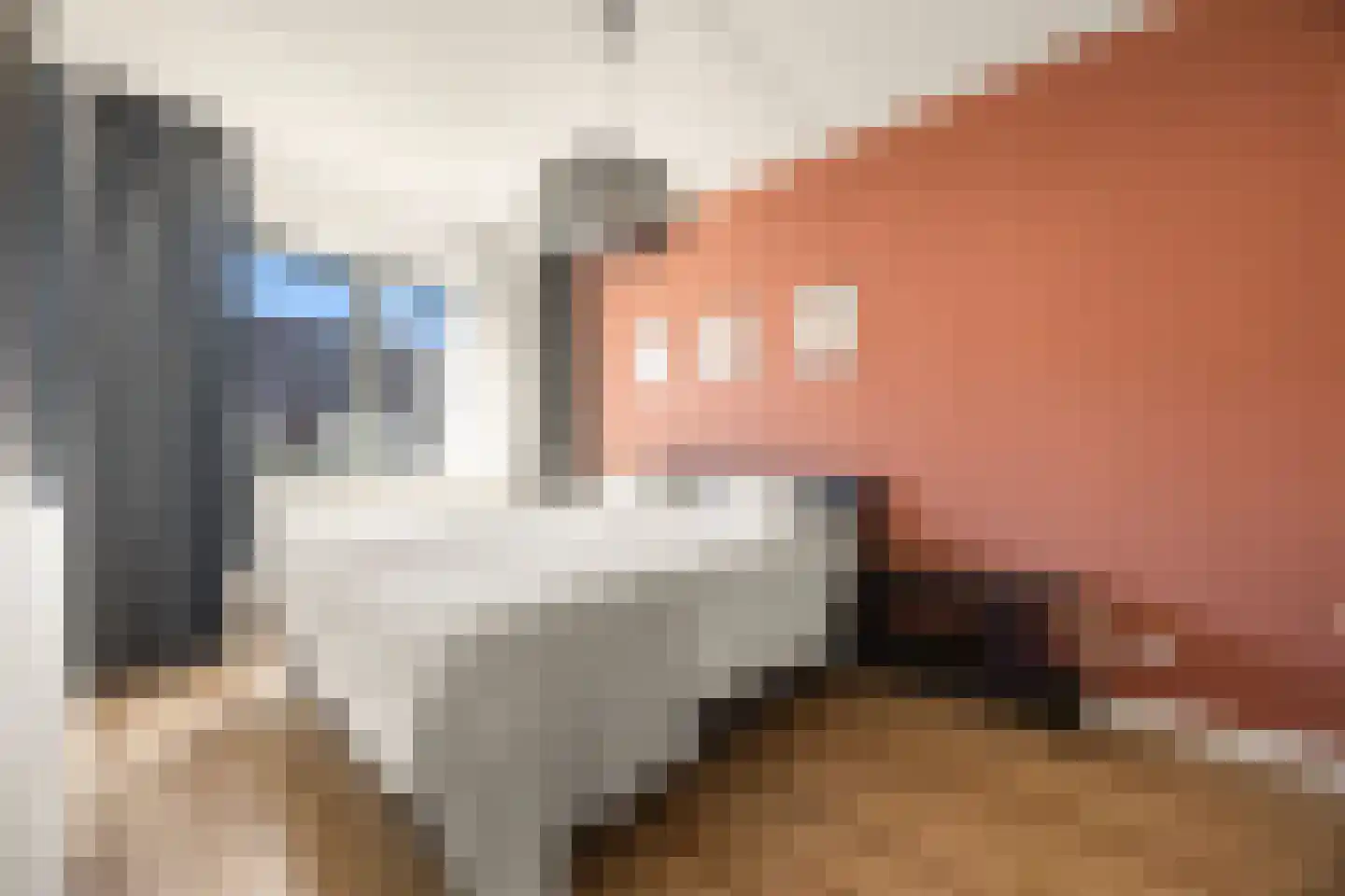 Zwanenbloem 57 Elst thumbnail 14