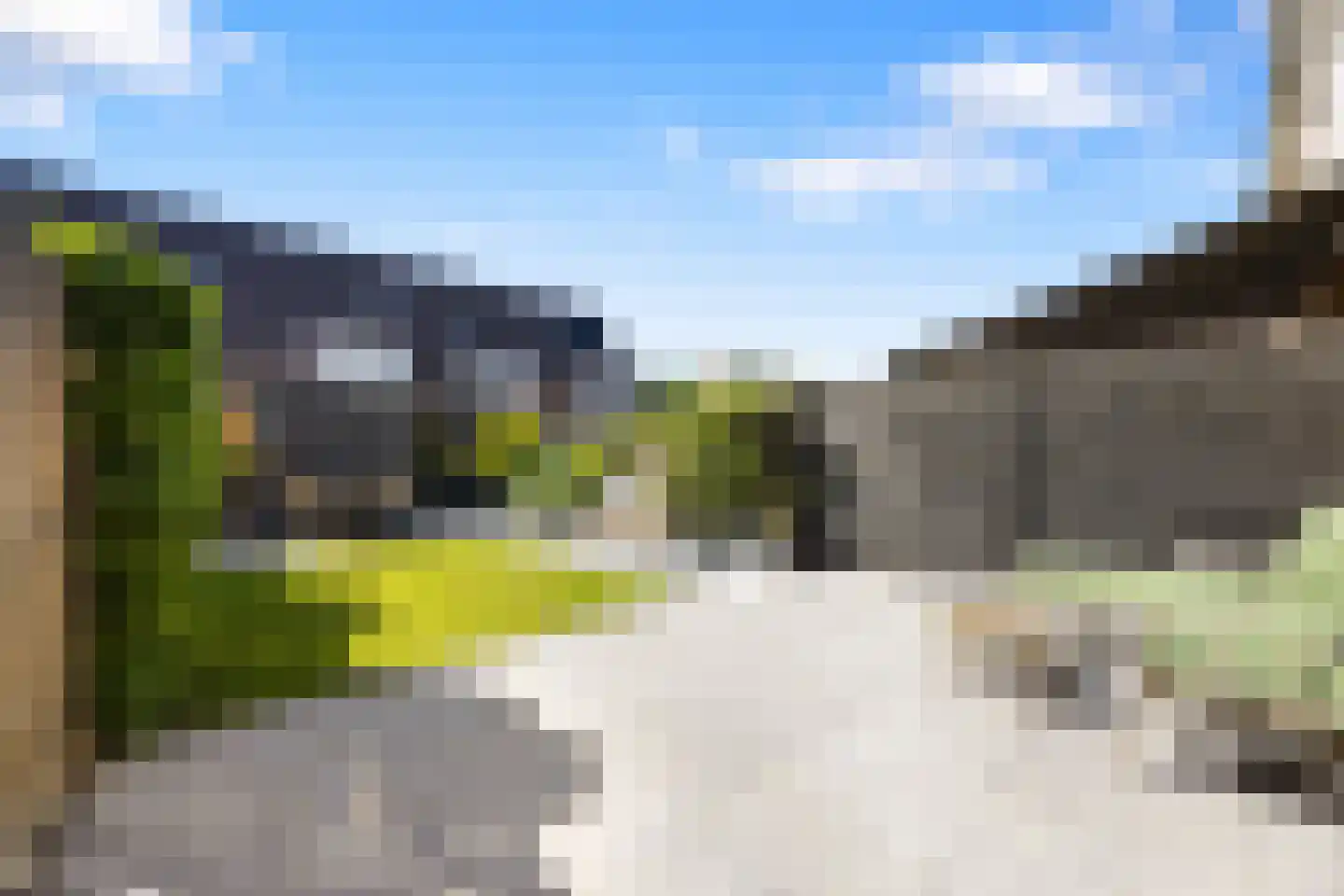 Zwanenbloem 57 Elst thumbnail 23