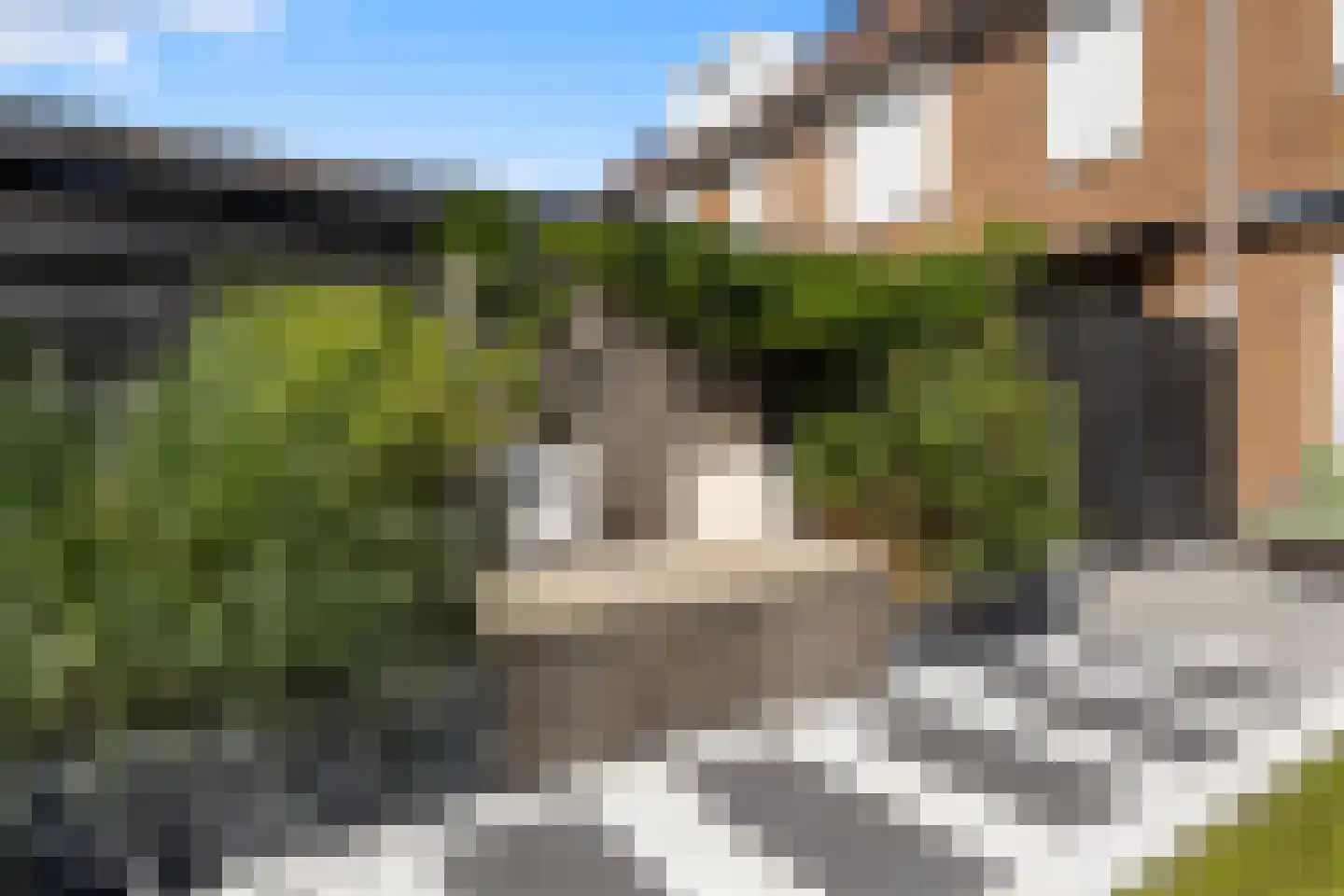 Zwanenbloem 57 Elst thumbnail 24