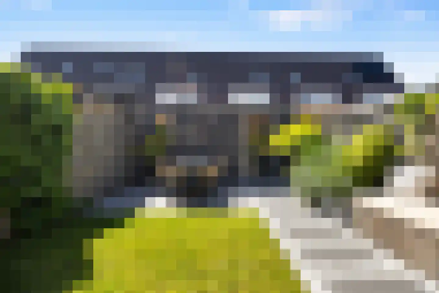 Zwanenbloem 57 Elst thumbnail 25