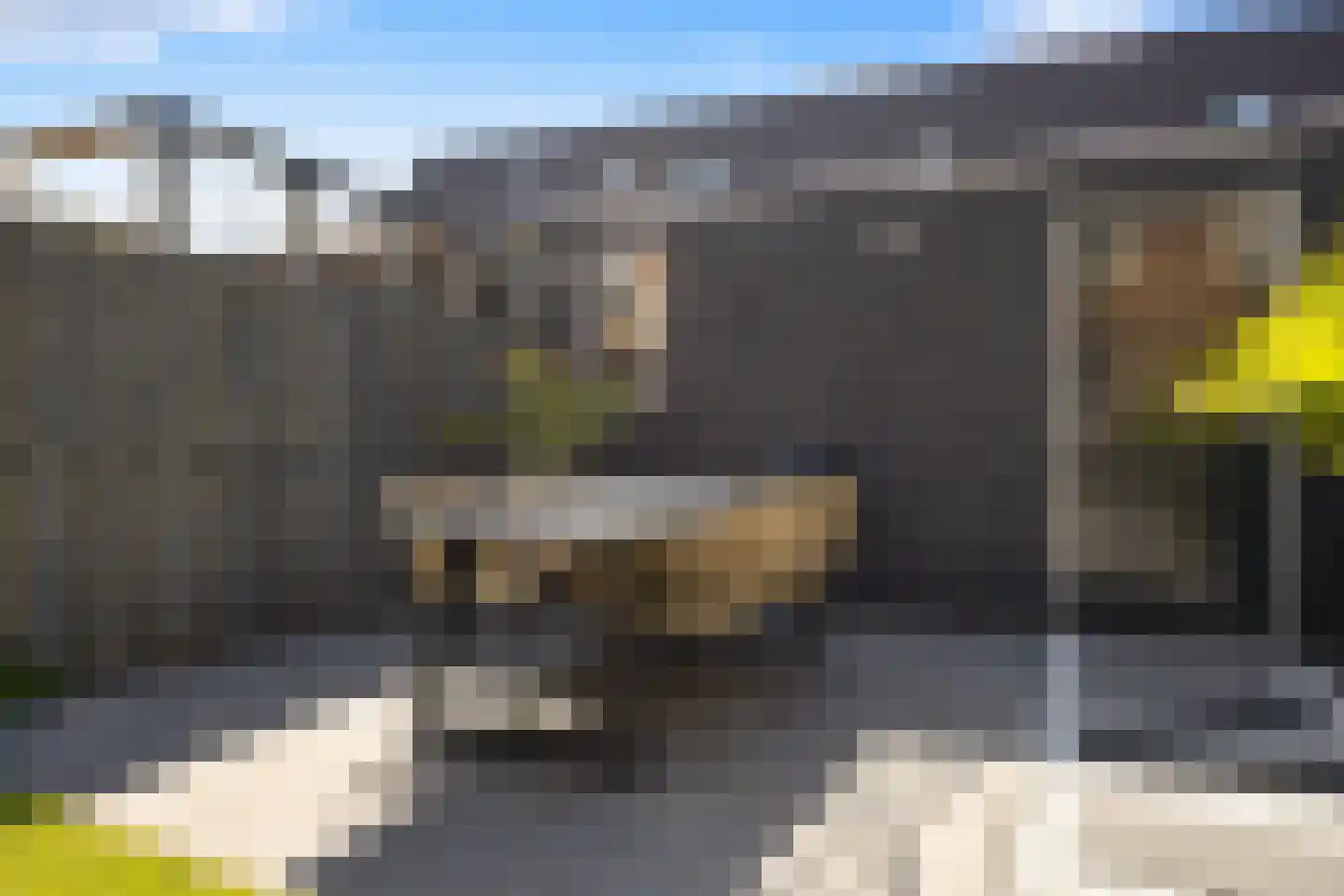Zwanenbloem 57 Elst thumbnail 26