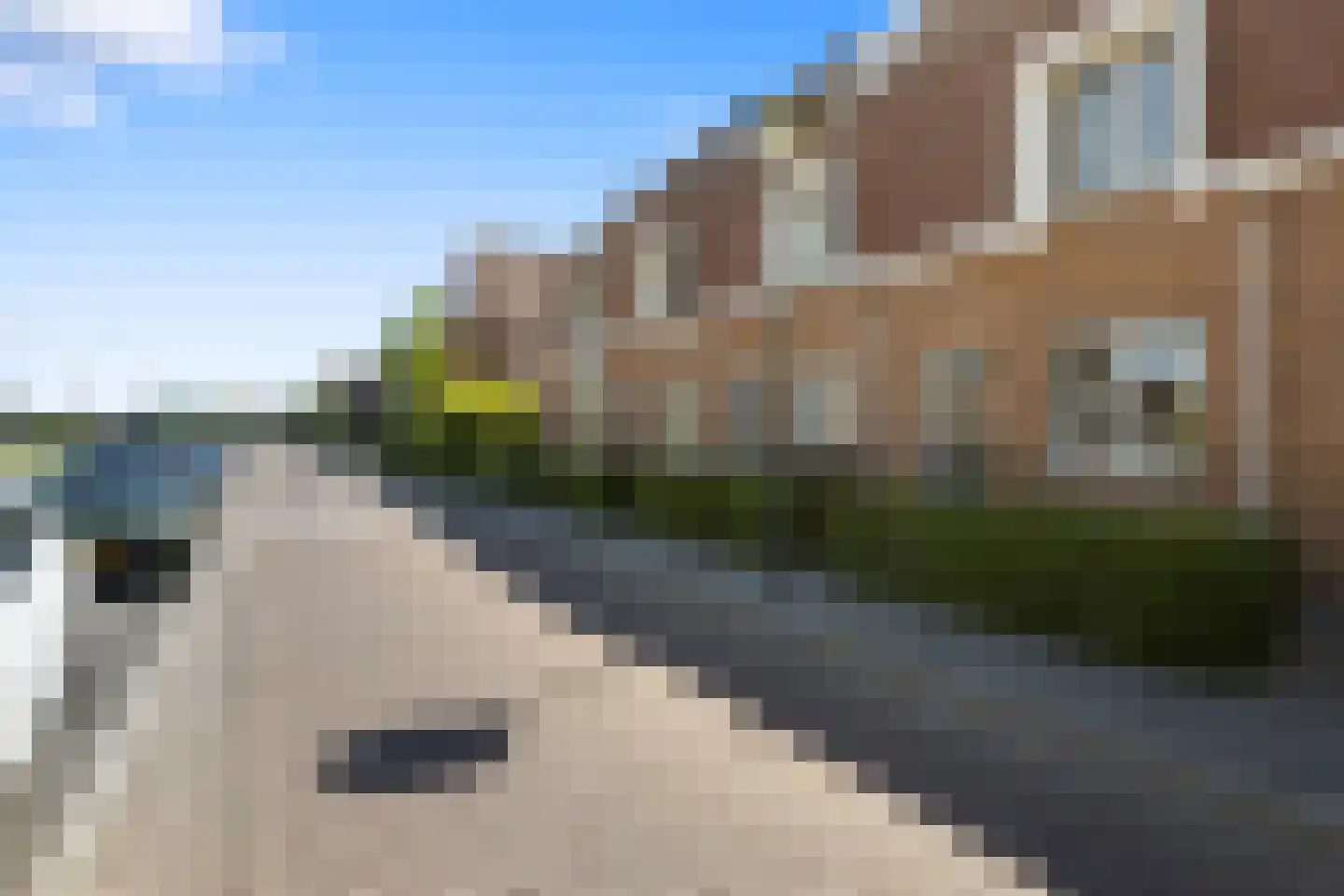 Zwanenbloem 57 Elst thumbnail 28