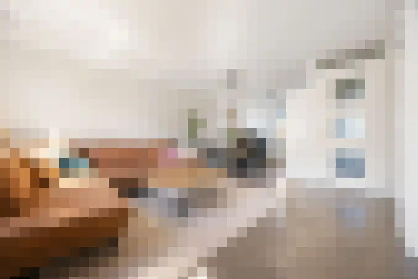 Zwanenbloem 57 Elst thumbnail 4