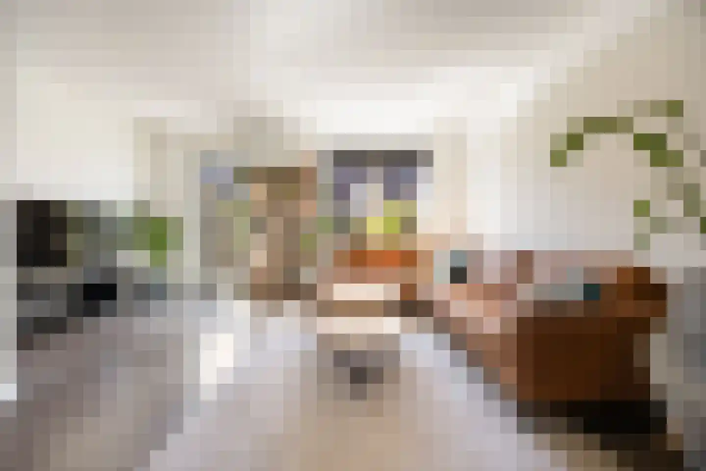 Zwanenbloem 57 Elst thumbnail 5