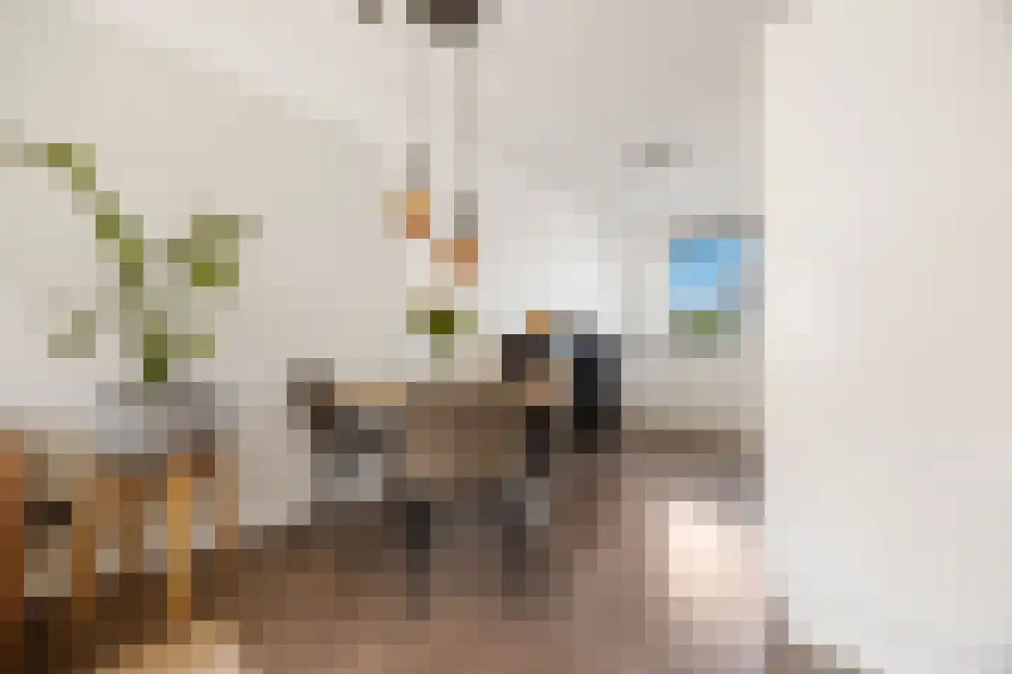 Zwanenbloem 57 Elst thumbnail 6