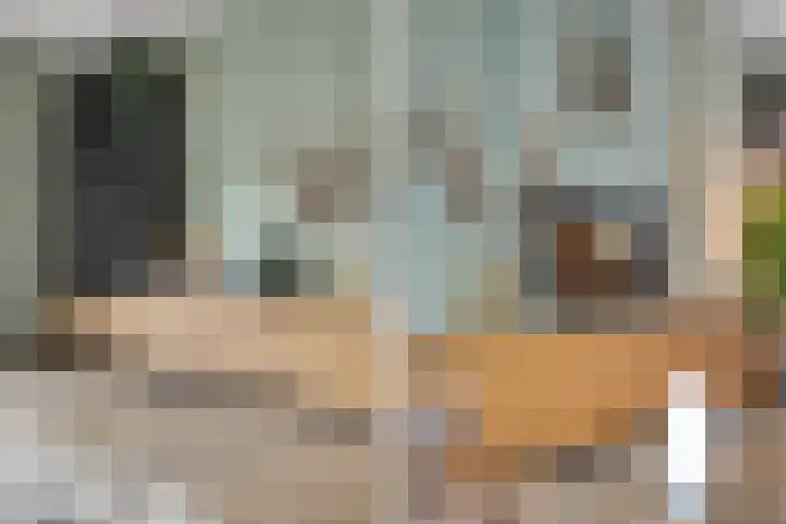 Zwanenbloem 8 Zwolle thumbnail 11