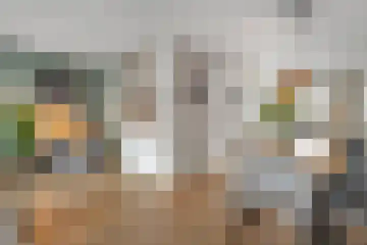 Zwanenbloem 8 Zwolle thumbnail 12
