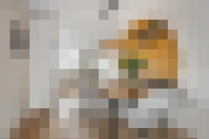 Zwanenbloem 8 Zwolle thumbnail 13