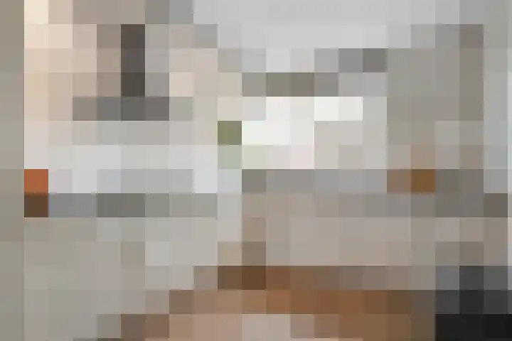 Zwanenbloem 8 Zwolle thumbnail 14