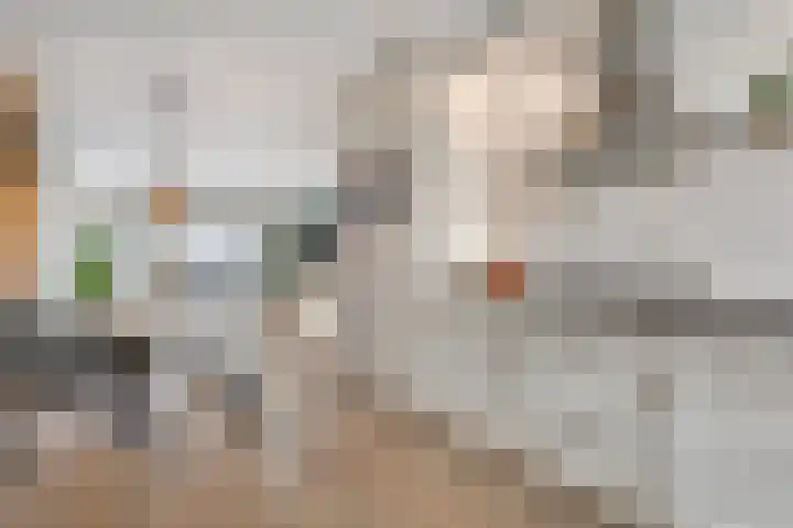 Zwanenbloem 8 Zwolle thumbnail 15