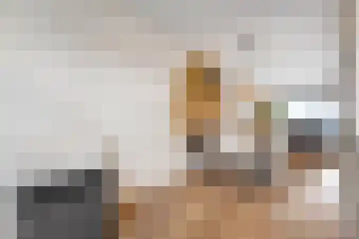 Zwanenbloem 8 Zwolle thumbnail 16
