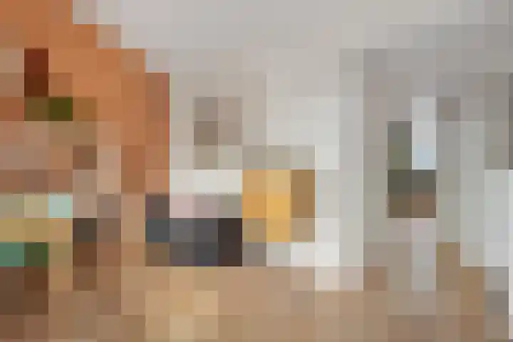 Zwanenbloem 8 Zwolle thumbnail 30