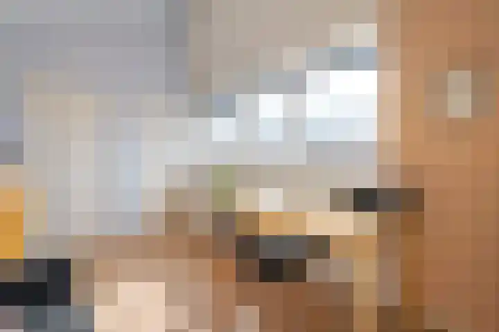 Zwanenbloem 8 Zwolle thumbnail 31
